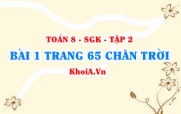 Bài 1 trang 65 Toán 8 Chân trời sáng tạo Tập 2